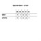 Шлёпанцы женские SAHAB S091WK MINT (38 - 42) MONO COLOR S091WK_MINT